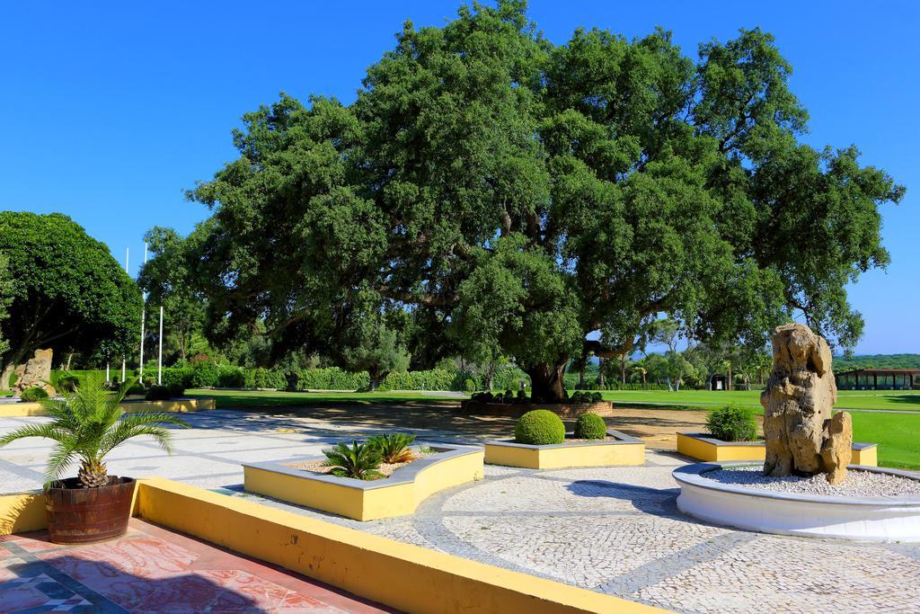 Hacienda Montenmedio Hotel 4*